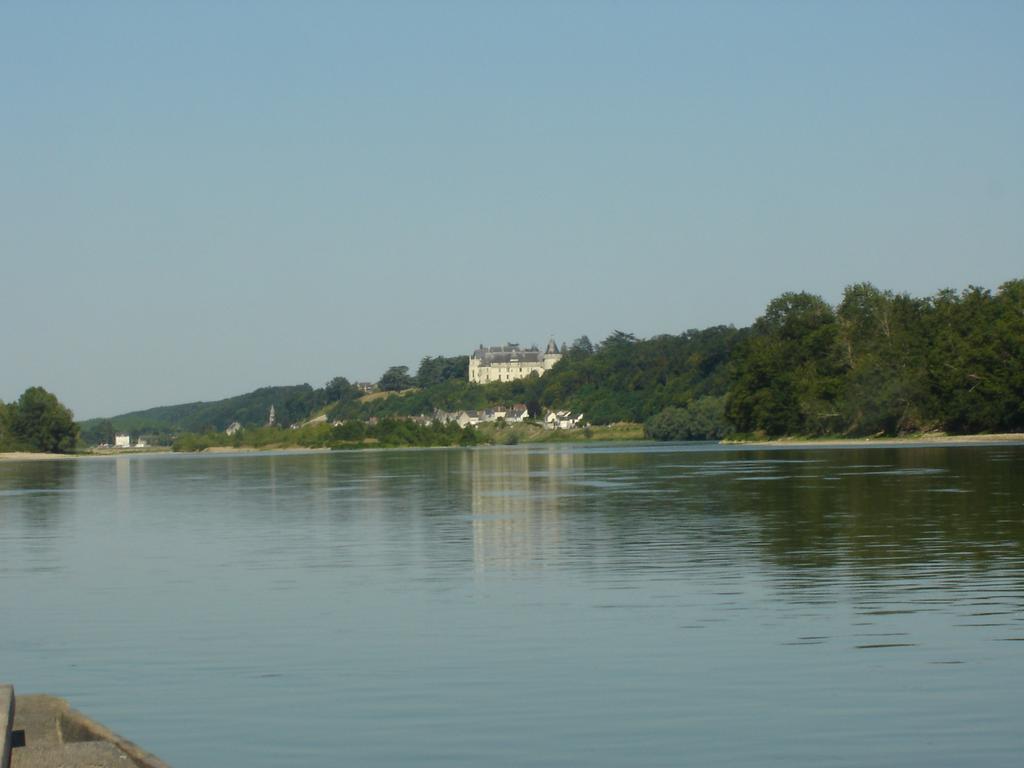 Apartamento Les Bords De Loire Veuves Habitación foto