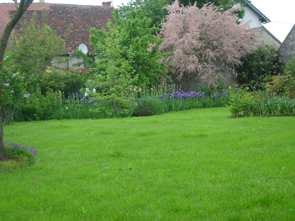 Apartamento Les Bords De Loire Veuves Habitación foto